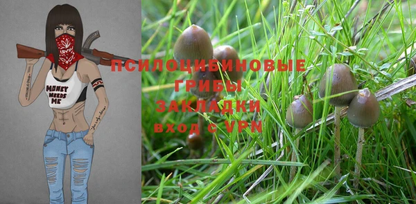 PSILOCYBIN Баксан