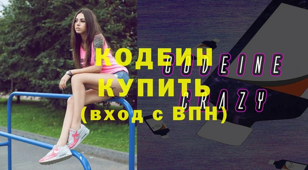 соль ск Дмитриев