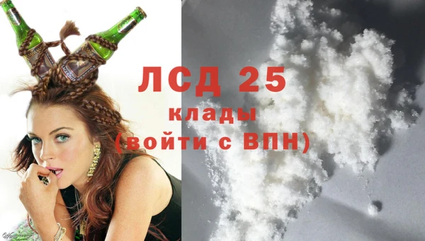 PSILOCYBIN Баксан
