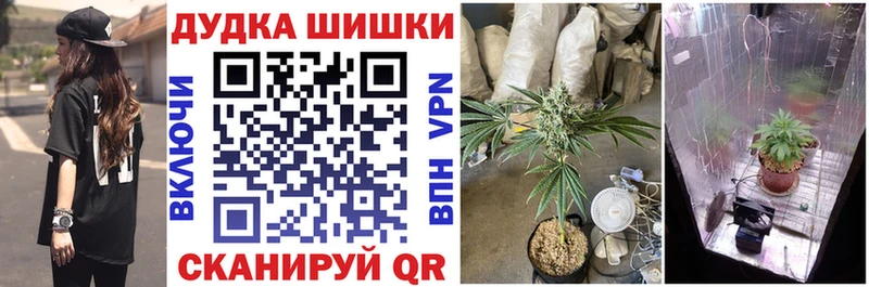 Каннабис SATIVA & INDICA Козельск